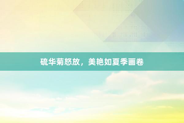 硫华菊怒放，美艳如夏季画卷