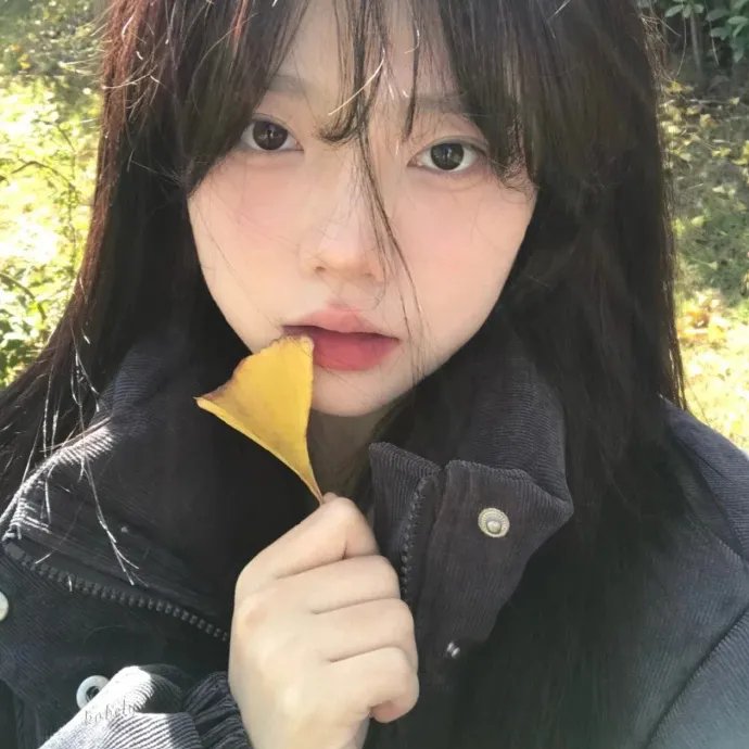 花儿与少年·丝路季